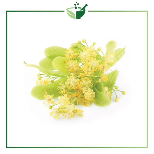 Lime Flower-018